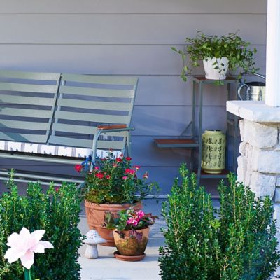 Image showing  11 in. Solar Cutout Lantern