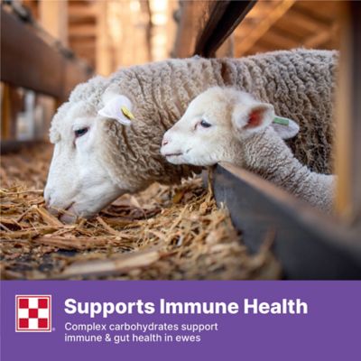 Image showing 3 th Purina Lamb Milk Replacer