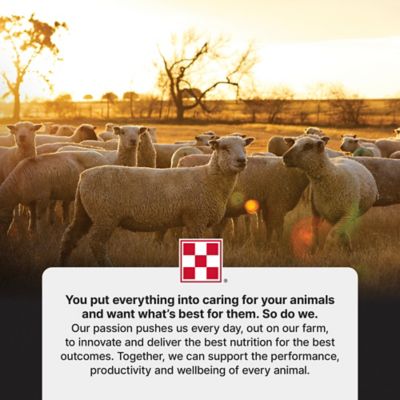Image showing 5 th Purina Lamb Milk Replacer