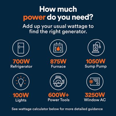 Image showing  9500 Watt Tri-Fuel Portable Generator 49 State