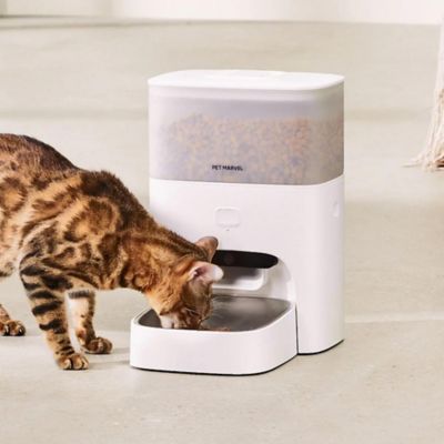 Image showing  Smart Pet Feeder (Cubie M3 Pro)