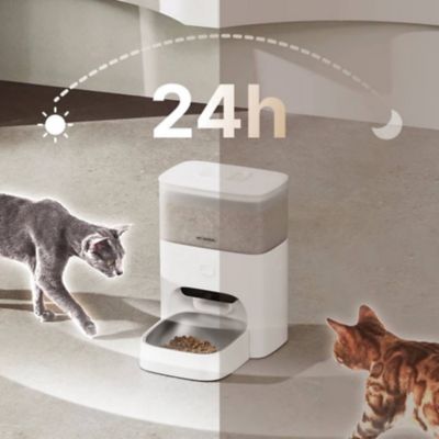 Image showing  Smart Pet Feeder (Cubie M3 Pro)