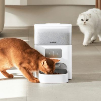Image showing  Smart Pet Feeder (Cubie M3)