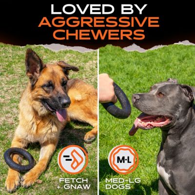 Image showing  Chew Ring - Durable Chew Toy for Aggressive Chewers - Natural Rubber