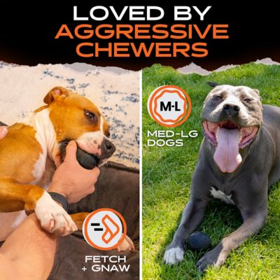 Image showing  Beast Ball - Durable Dog Ball for Aggressive Chewers - Natural Rubber