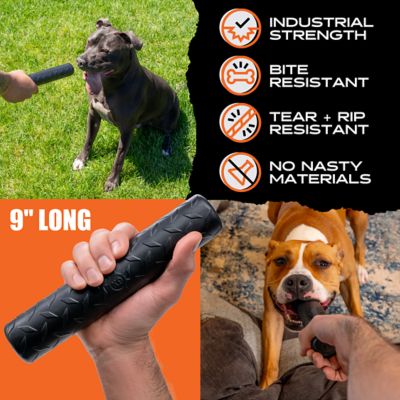 Image showing  Chew Stick - Durable Dog Chew & Fetch Toy for Aggressive Chewers - Natural Rubber