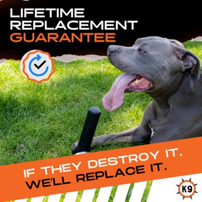 Image showing  Chew Stick - Durable Dog Chew & Fetch Toy for Aggressive Chewers - Natural Rubber