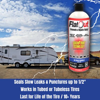 Image showing  FlatOut QuickStrike On Road