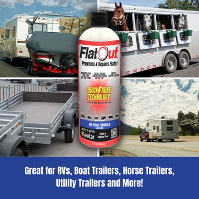 Image showing  FlatOut QuickStrike On Road