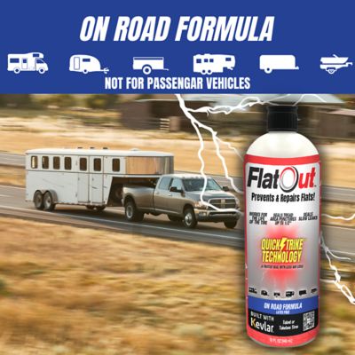 Image showing  FlatOut QuickStrike On Road