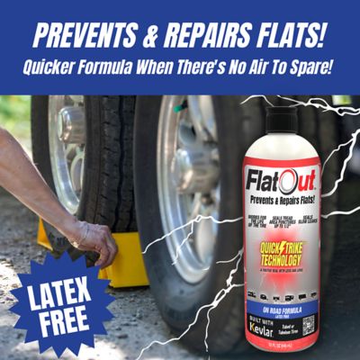 Image showing 5 th MULTI SEAL FlatOut QuickStrike On Road