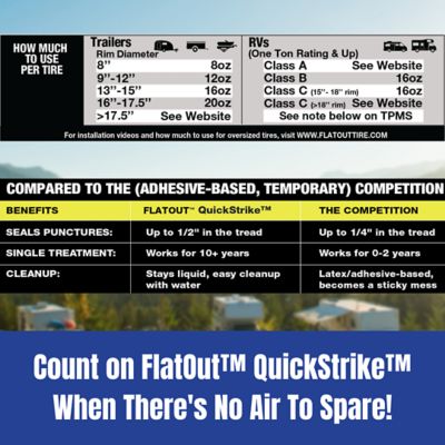 Image showing 6 th MULTI SEAL FlatOut QuickStrike On Road