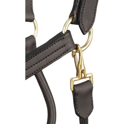 Image showing  Premium Leather Halter with Snap
