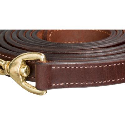 Image showing  10 ft. Leather Lead with 30 in. BP Chain