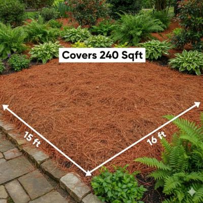 Image showing 5 th USA Pinestraw Box of 240 sq. ft. Long Needle Pine Straw Mulch