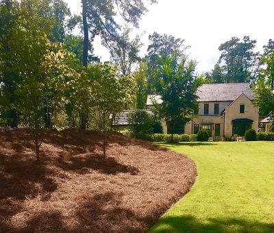 Image showing  Box of 300 sq. ft. Long Needle Pine Straw Mulch