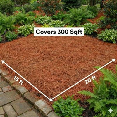 Image showing 5 th USA Pinestraw Box of 300 sq. ft. Long Needle Pine Straw Mulch