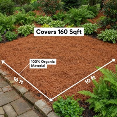 Image showing 5 th USA Pinestraw Box of 160 sq. ft. Long Needle Pine Straw Mulch