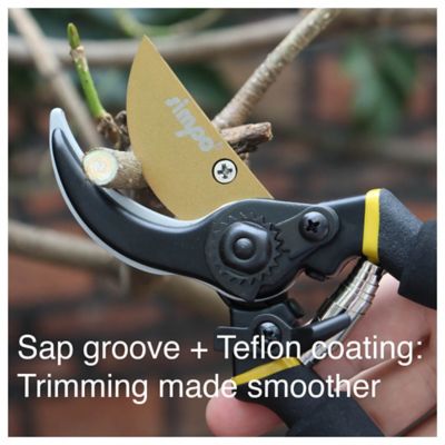 Image showing  Bypass Pruner Garden Shears Extra Sharp