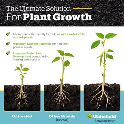 Image showing  1 cu. ft. Biochar (100% Pure Biochar)