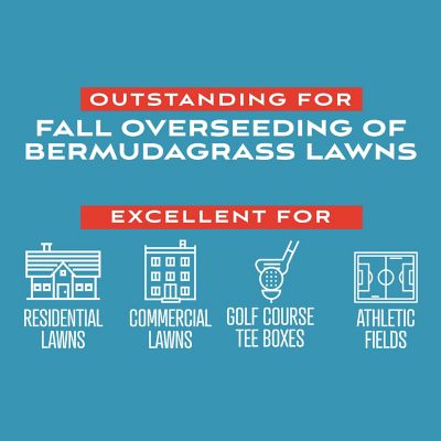 Image showing  Fairway Supreme Perennial Rye Blend 5 lb.