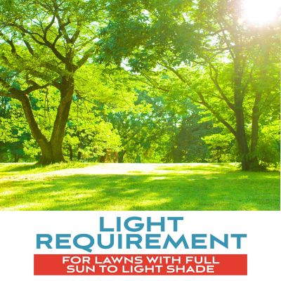 Image showing  Fairway Supreme Perennial Rye Blend 5 lb.