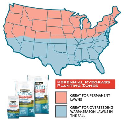 Image showing 5 th Pennington Fairway Supreme Perennial Rye Blend 5 lb.