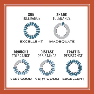 Image showing 8 th Pennington Smart Seed Texas Bermuda Mix with Fert 8.75 lb