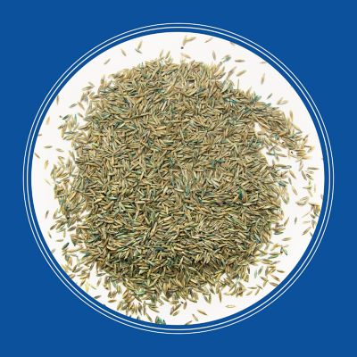 Image showing  Smart Seed Pro Tall Fescue Bluegrass 50 lb. -Pallet