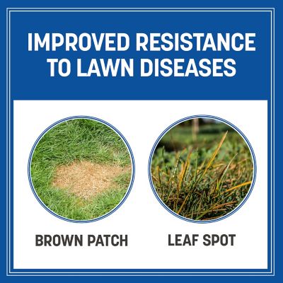 Image showing  Smart Seed Pro Tall Fescue Bluegrass 50 lb. -Pallet