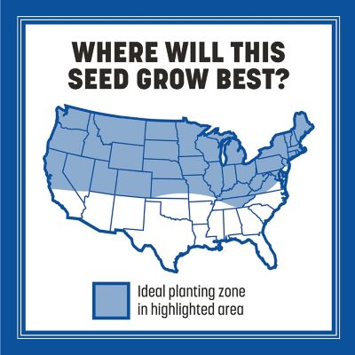 Image showing 5 th Pennington Smart Seed Pro Tall Fescue Bluegrass 50 lb. -Pallet