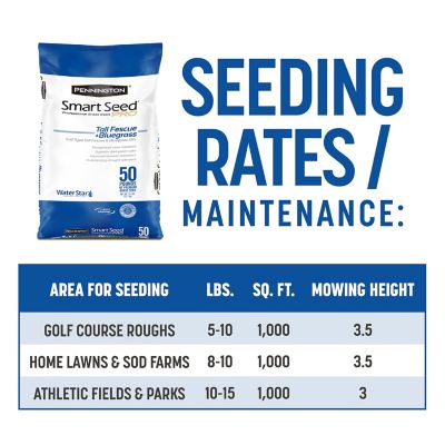 Image showing 7 th Pennington Smart Seed Pro Tall Fescue Bluegrass 50 lb. -Pallet