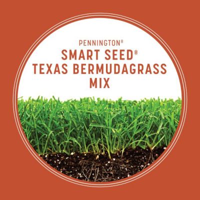 Image showing  Smart Seed Texas Bermuda Mix with Fert 1.75 lb