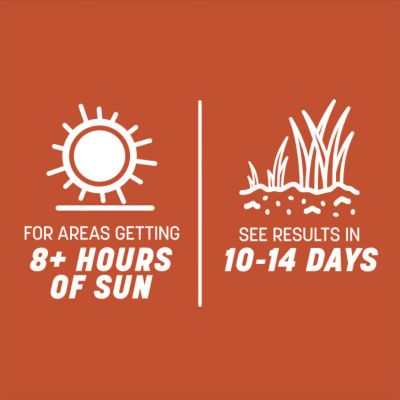 Image showing 6 th Pennington Smart Seed Texas Bermuda Mix with Fert 1.75 lb