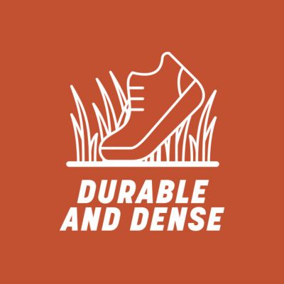 Image showing 7 th Pennington Smart Seed Texas Bermuda Mix with Fert 1.75 lb