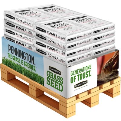 Pennington Royal Flush Perennial Ryegrass Blend 50 lb. Pallet