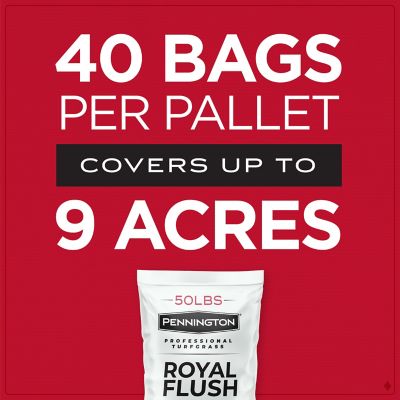 Image showing  Royal Flush Perennial Ryegrass Blend 50 lb. Pallet