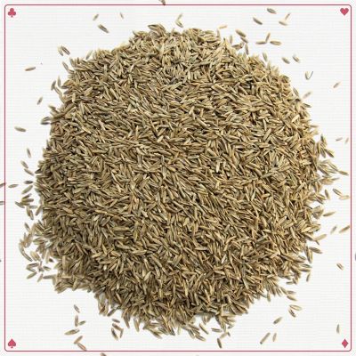 Image showing  Royal Flush Perennial Ryegrass Blend 50 lb. Pallet