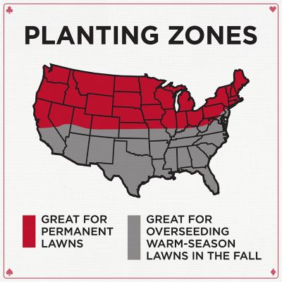 Image showing  Royal Flush Perennial Ryegrass Blend 50 lb. Pallet
