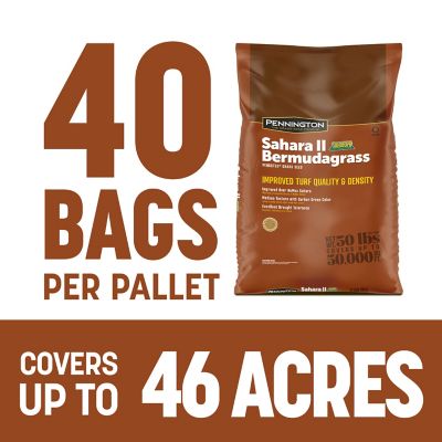 Image showing  Bermuda Sahara 50 lb. Pallet