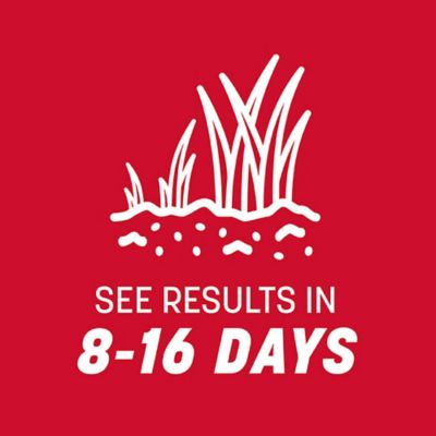 Image showing 6 th Pennington Rebels Tall Fescue Mix 40 lb., 2 pk.