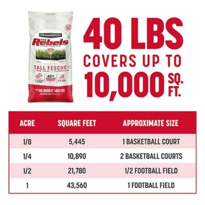 Image showing 8 th Pennington Rebels Tall Fescue Mix 40 lb., 2 pk.