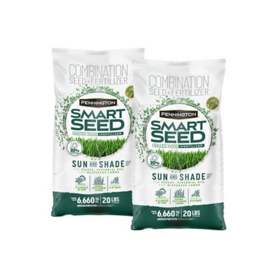 Pennington Smart Seed North Sun & Shade 20 lb., 2 pk.