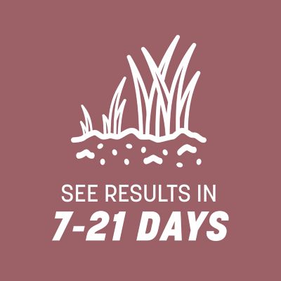 Image showing 5 th Pennington Pensacola Bahiagrass 3 lb.