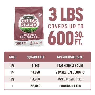 Image showing 7 th Pennington Pensacola Bahiagrass 3 lb.