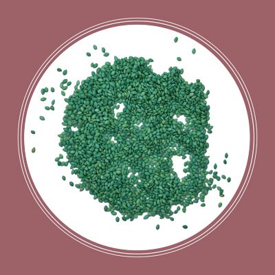 Image showing 9 th Pennington Pensacola Bahiagrass 3 lb.