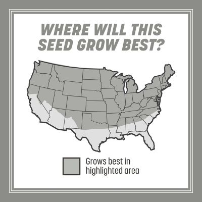 Image showing  Contractors Mix Southern 40 lb, 2 pk.
