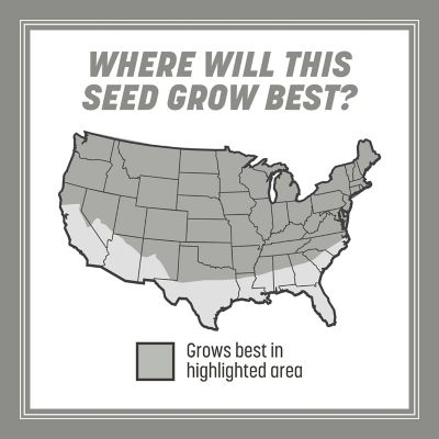 Image showing 6 th Pennington Contractors Mix North 40 lb. -Pallet