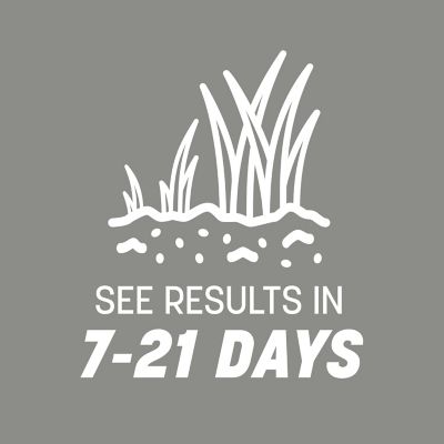 Image showing 6 th Pennington Contractors Mix Northern 40 lb., 2 pk.