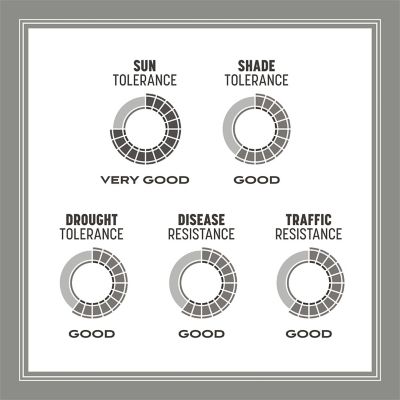 Image showing 8 th Pennington Contractors Mix Northern 40 lb., 2 pk.